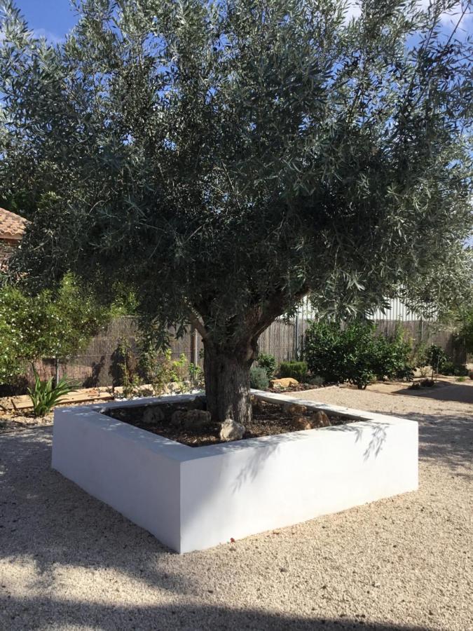 Relax En La Huerta De Murcia Eksteriør billede